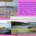 "JELE AND LUKA'S GUESTHOUSE", private accommodation in city Dubrovnik, Croatia - Plaza Kopakabana
